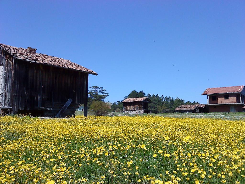 Villa Neva Hotel Kindira ภายนอก รูปภาพ